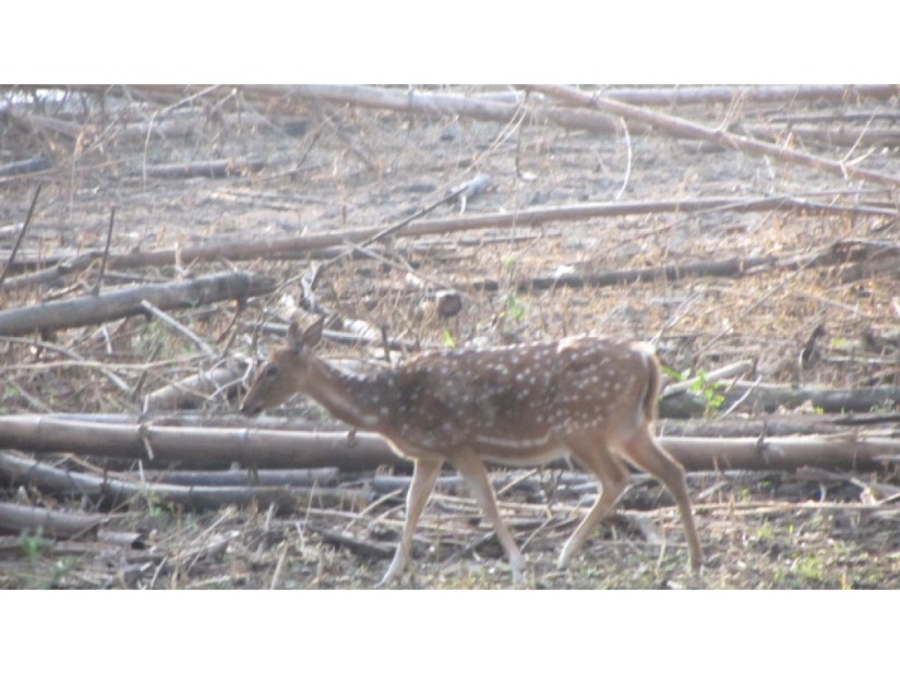 0EBD044E-0300-4F27-8A21-76DF3D329EB2