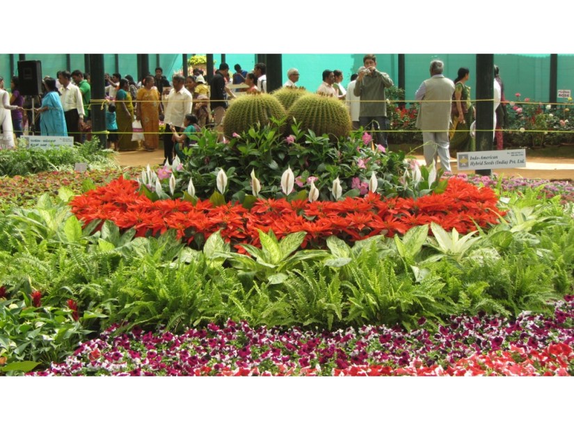 1CF4407B-8B2A-4A6A-8B07-CE55E72F7282