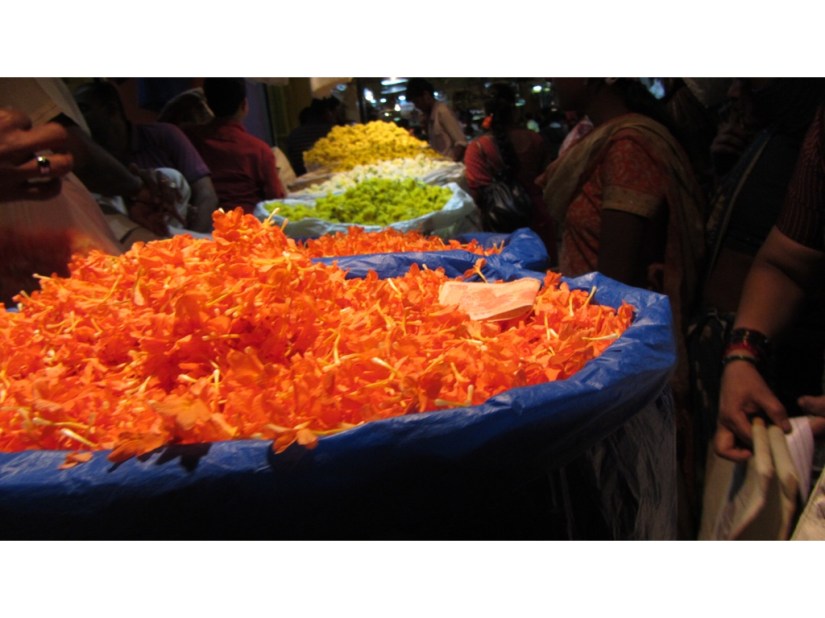 7CF98433-EA48-4066-B426-07799D8B2DA7