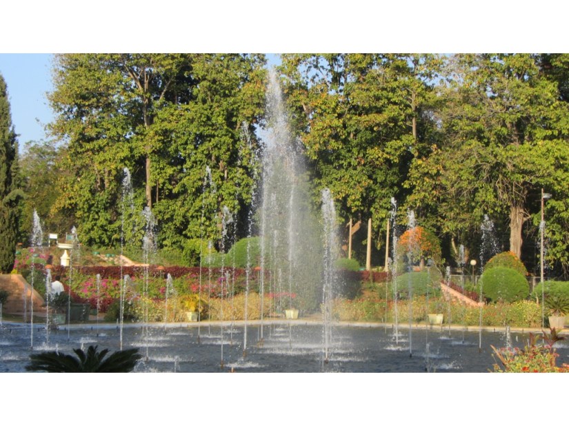 C790FC86-A333-4C69-A8D6-ECAC077CD318