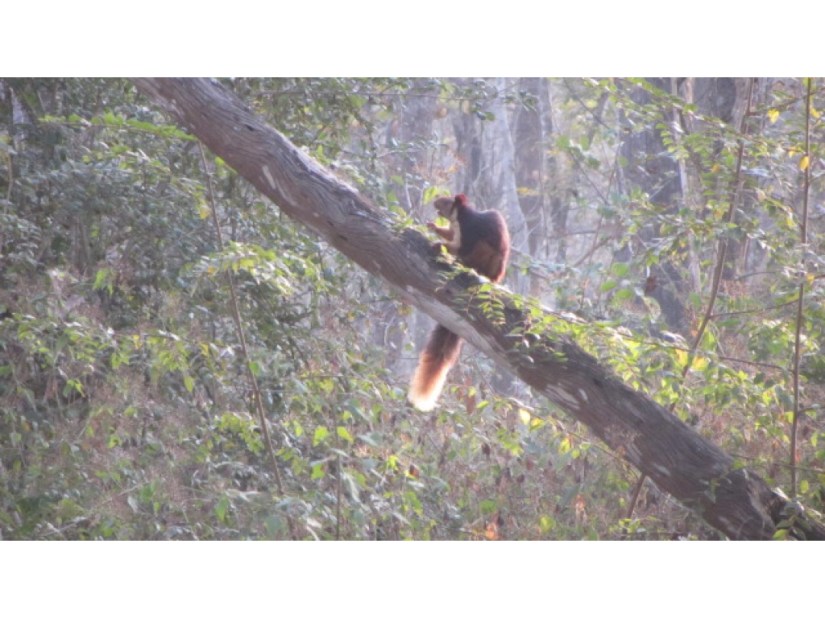 DA441E5F-BEFA-42A4-8426-D795BA1CB9C2