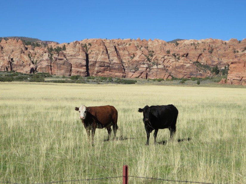 0EA1C672-B6DE-4580-8AC2-058623CDECF5