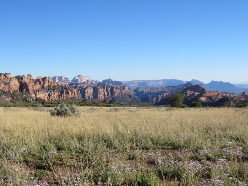 4D88AEC1-DABB-4915-91AB-C98C09F2B210