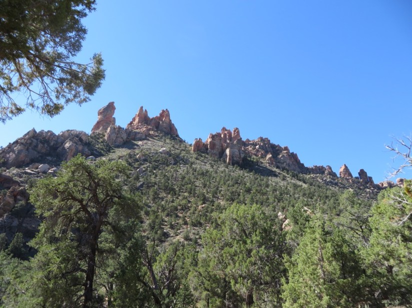 FFE2C967-1A14-41E9-91A8-DB6D6691B99E