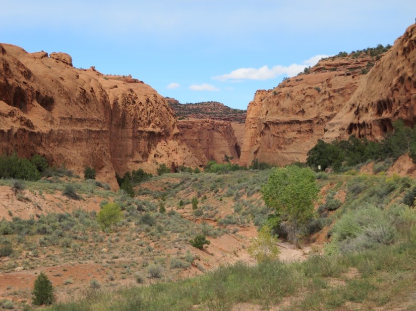 142B8398-32CB-470D-AF41-425A60513B8B