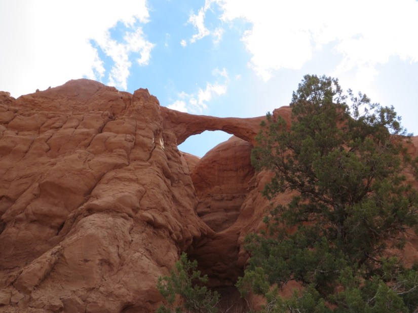 174E7048-3638-403D-8CD0-7EAEBA95D1E9