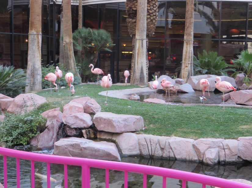 193F49E2-4DD3-429E-BE9E-97B145178574