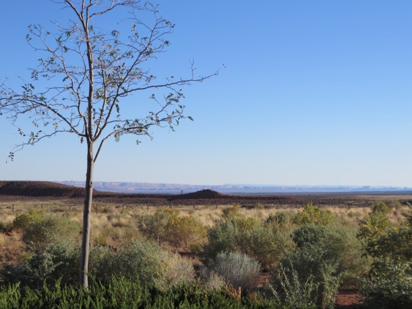 1B312FFE-3F36-4B99-A8F0-CD5D4BEEB1C6