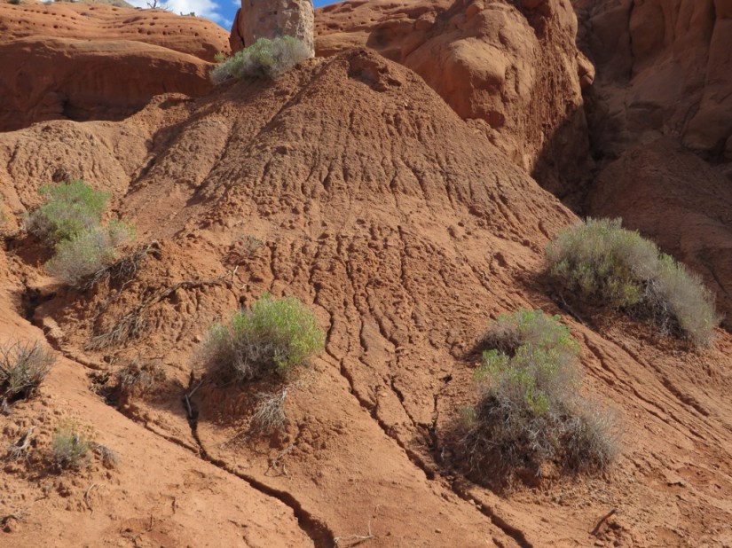 1CB8C7D2-B88A-406D-9776-95EE7DAFB27A