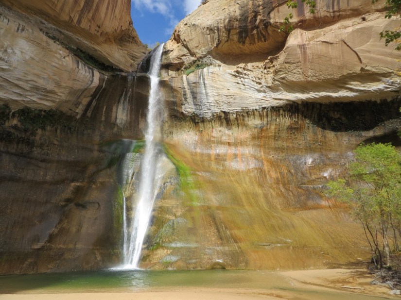 2126E67C-DB6F-4DB0-81B3-5904AB7E66D2