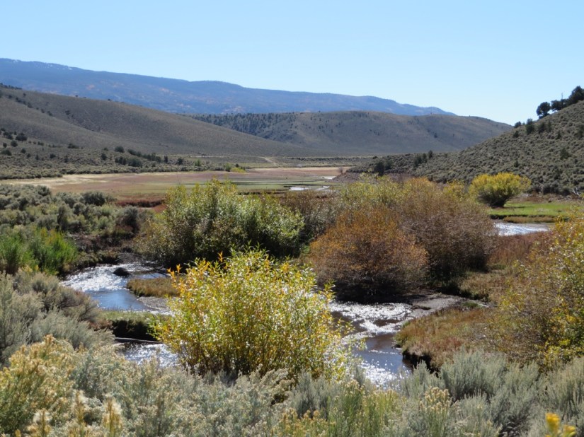 29B04D4B-D634-4B00-9A3D-BD1F4EFF5603