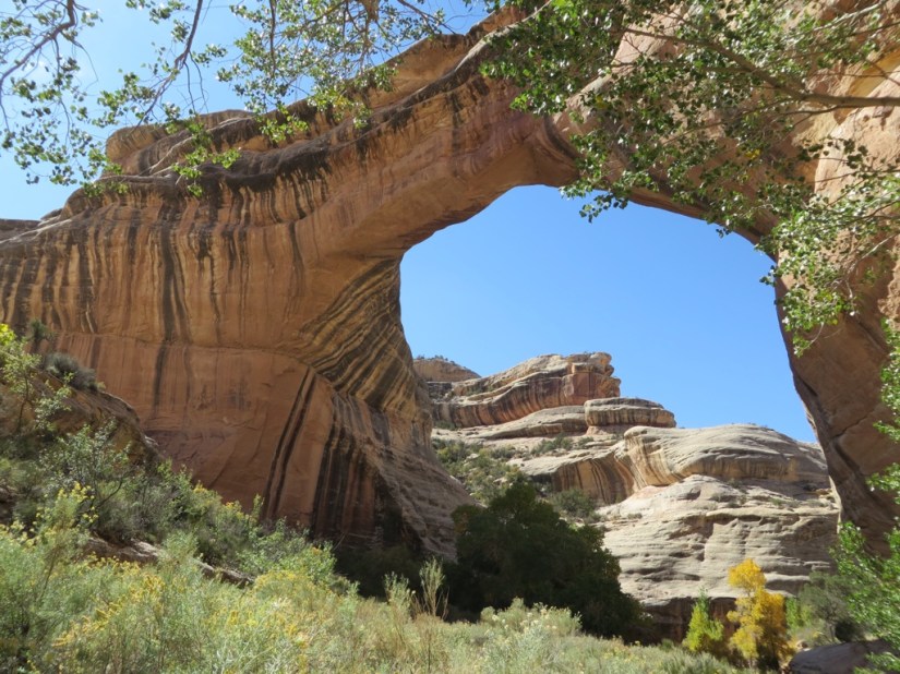 2EEBF57B-79A9-4659-9F58-4CF003143979