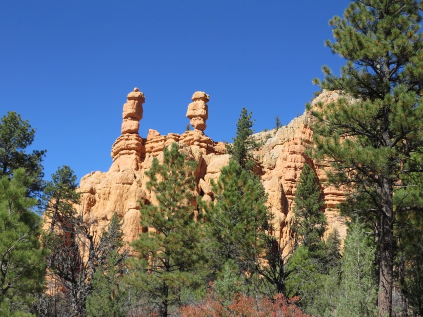 376582B9-B2D3-4CDE-B47E-64DB718234BA