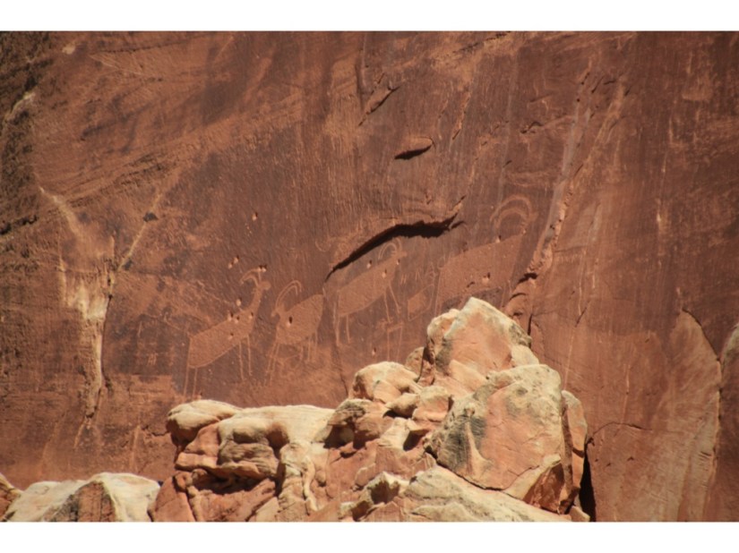 3B1E14A5-1EE4-4B18-9C3C-873ADE126AD5