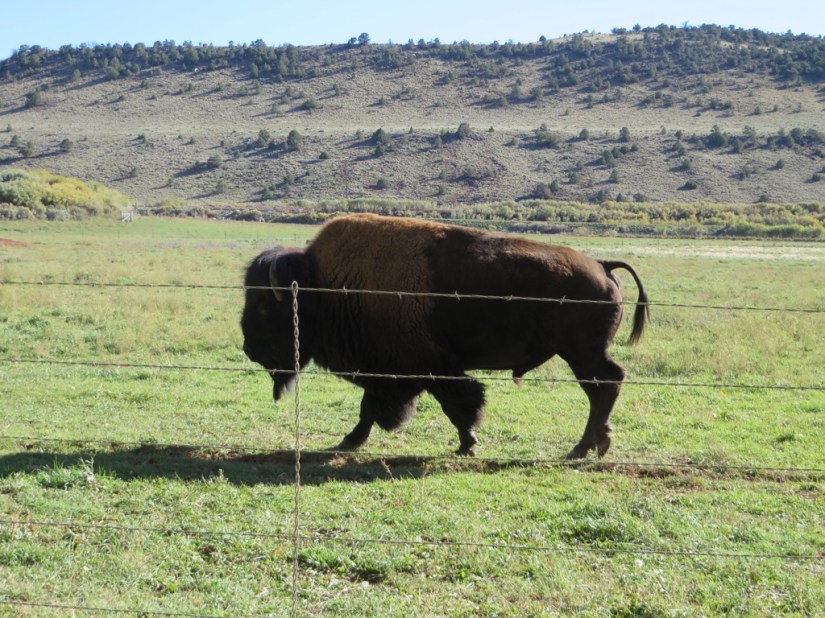 3DFFEEC5-A803-4E18-B402-802EDE59CA89