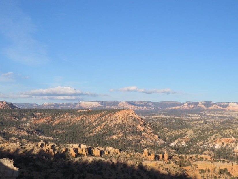 4B022D01-8CB5-44D9-BA1A-55112F507246