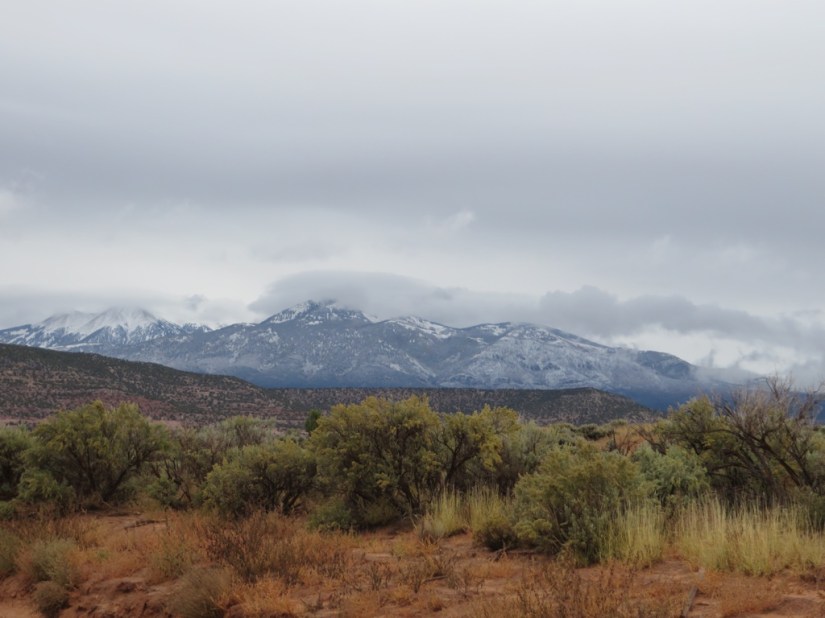 4DAF18D0-9ADA-42FF-A553-5EDE9CDCF2FE