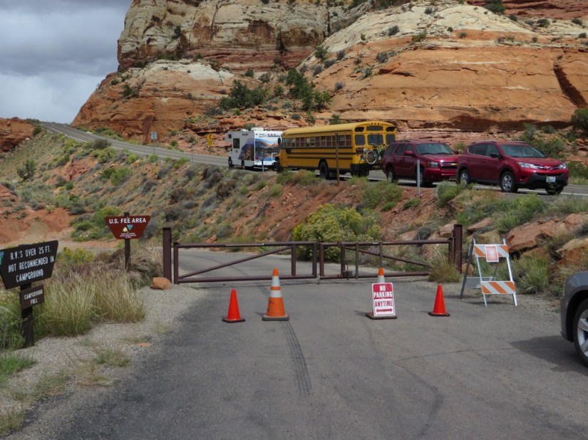 4E3E7A6E-9833-48C5-AF56-4ED07AB4A003