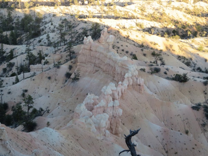 58FB25E7-0D57-4BCC-B0CC-B99923C06D88