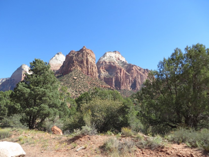 5C39A856-A6CC-456E-B95F-0CF72973CCB6