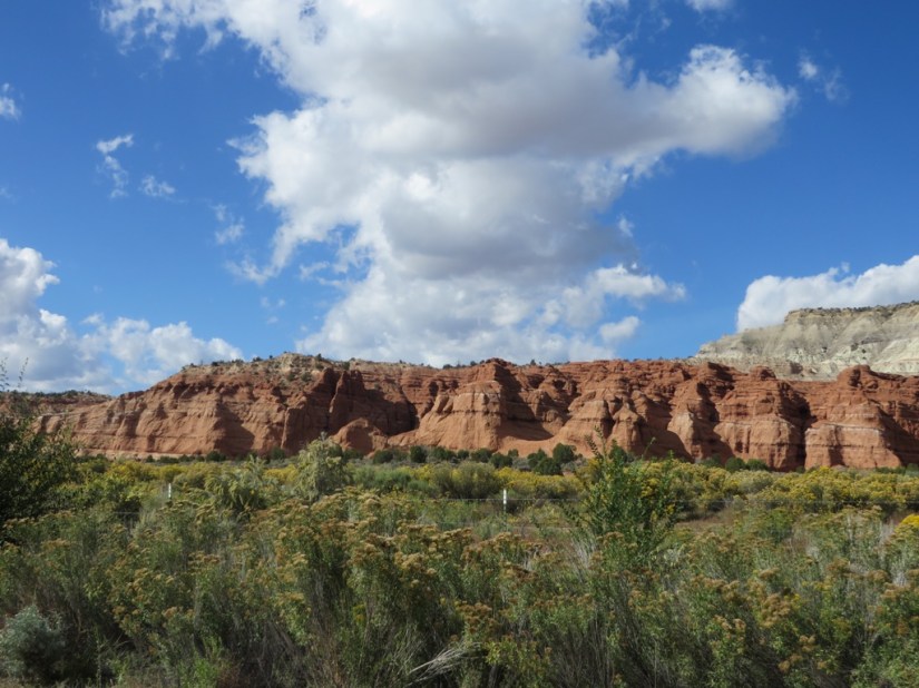 713390E0-C294-40B5-A600-CDEA207BEE0E