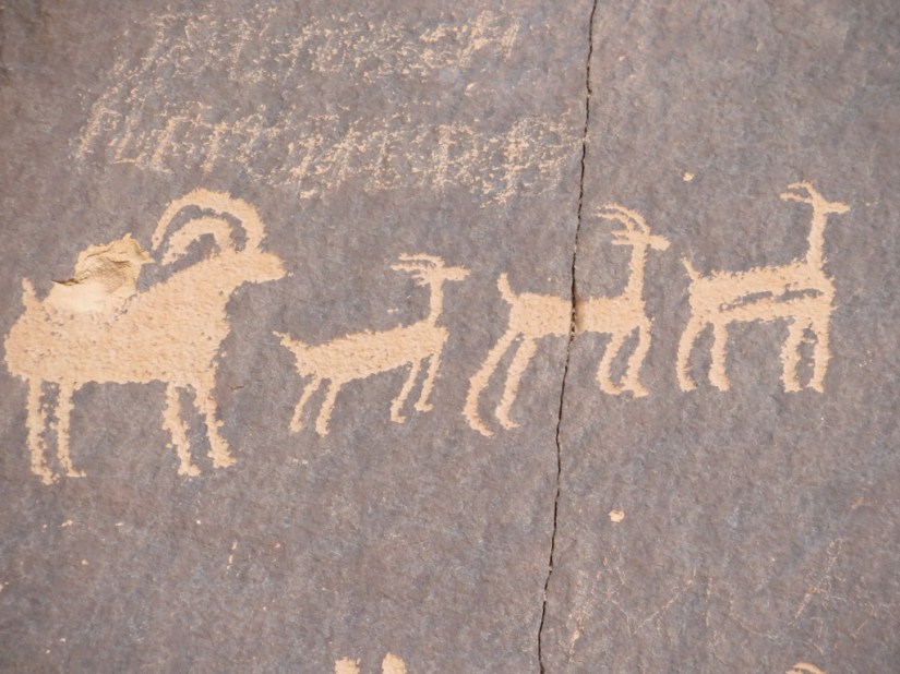 7B339497-9E96-450D-B174-C0A09892FE7A