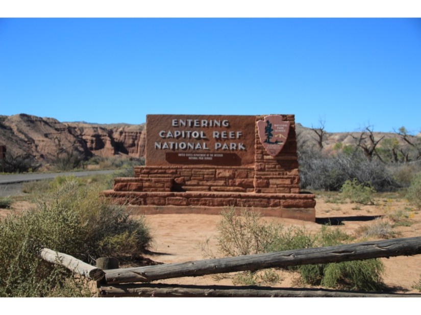 928B135F-A172-450E-9B79-7F809FF218C4