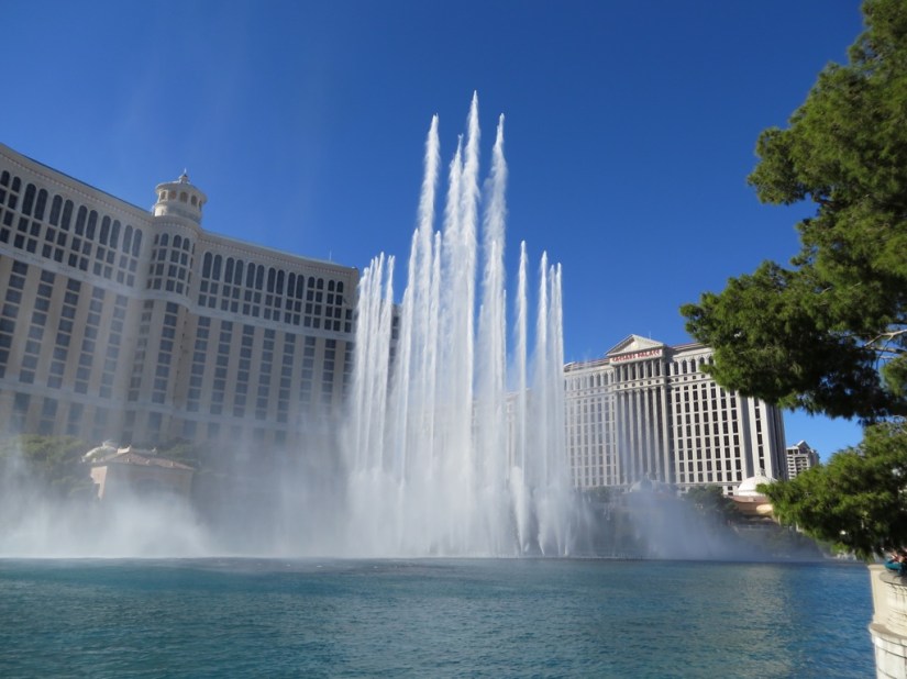 939606A0-8660-49DF-8DF3-AA94A574D6F1