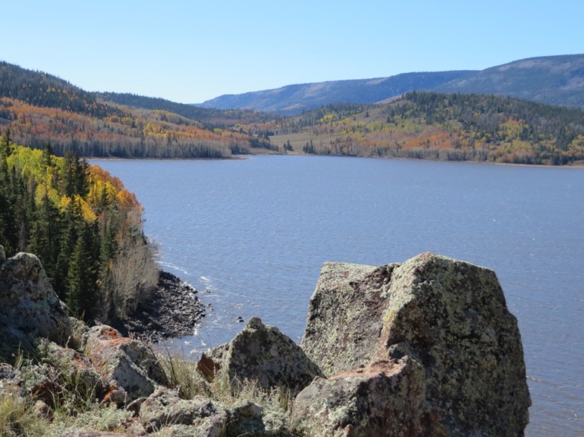 9D93E106-4D9D-4B90-8275-37690F035532