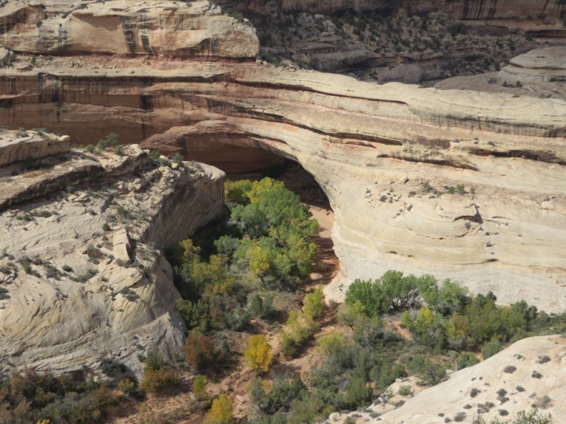 A270EA04-9809-4947-8F0A-EA638EC1A7E6