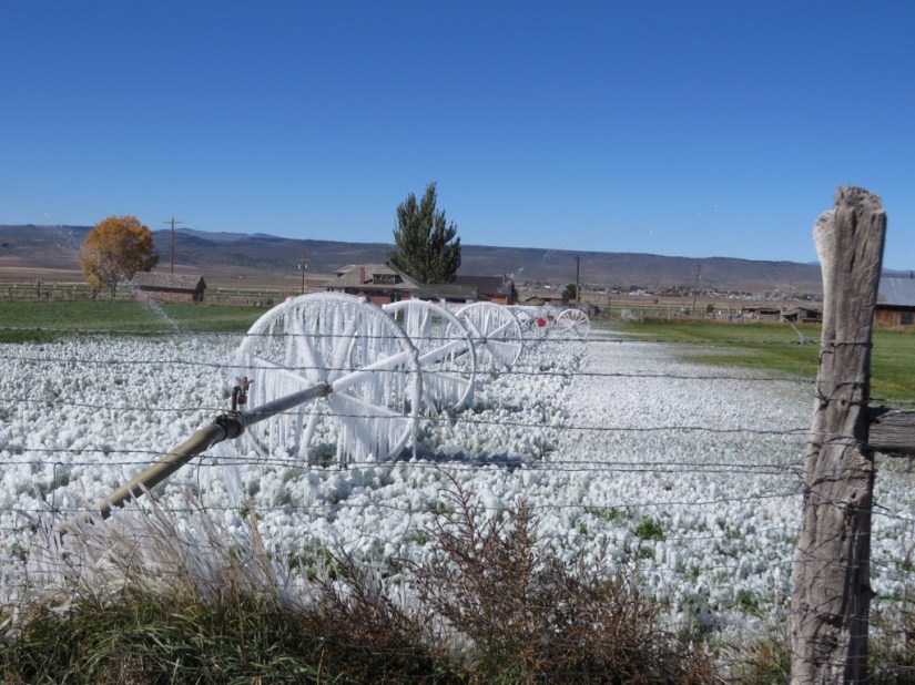 A9343A75-2673-42EE-A9A2-6E3814221A58