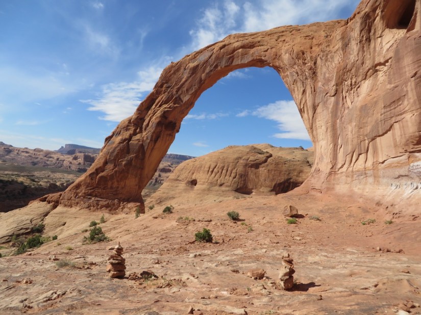 AE543A32-9F2D-4B6D-8F3E-D72416E12A39