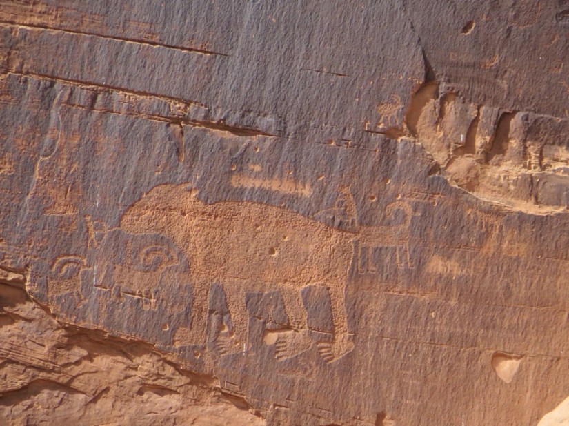 B5C27EE8-185C-488F-8962-CFDBEB33FC5A