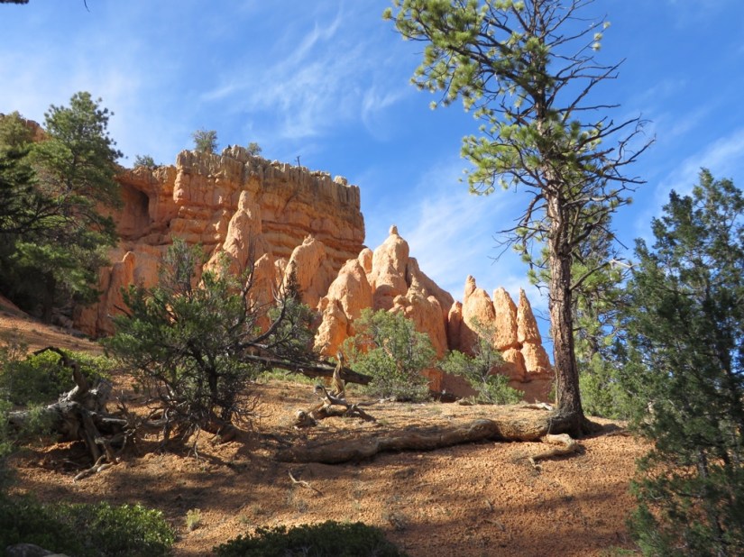 B8AC8E74-84C0-465C-BD26-834D5258441B