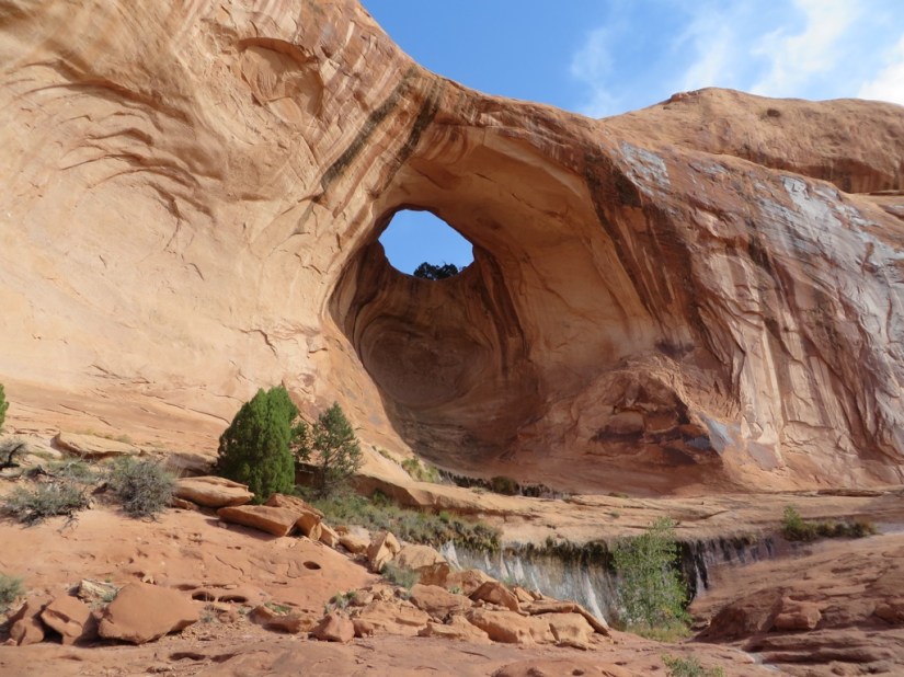 D69B1FE8-3FFF-45E5-AB02-E5912AFC212E