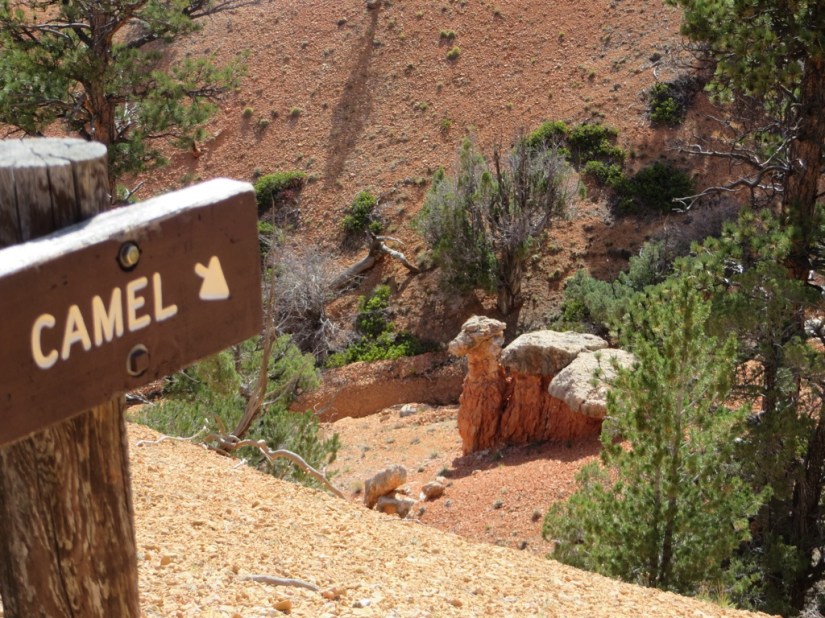 DC301C6C-6094-4A61-B03D-A6B0295B3468