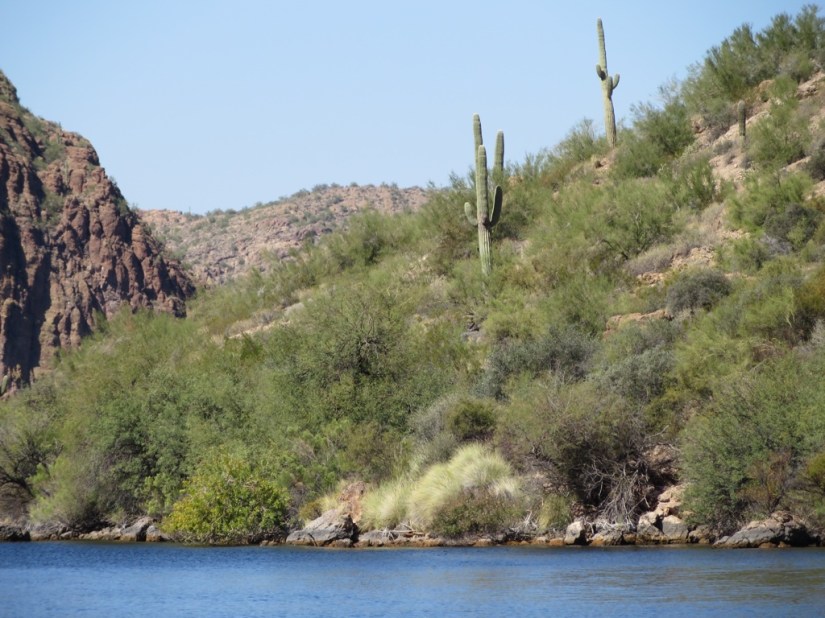 DEBB3A54-A17F-45E8-AA84-39BB37FAA08E