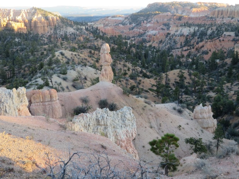 E0B512A3-5CBE-45F7-B5FE-7B8DF29B8411