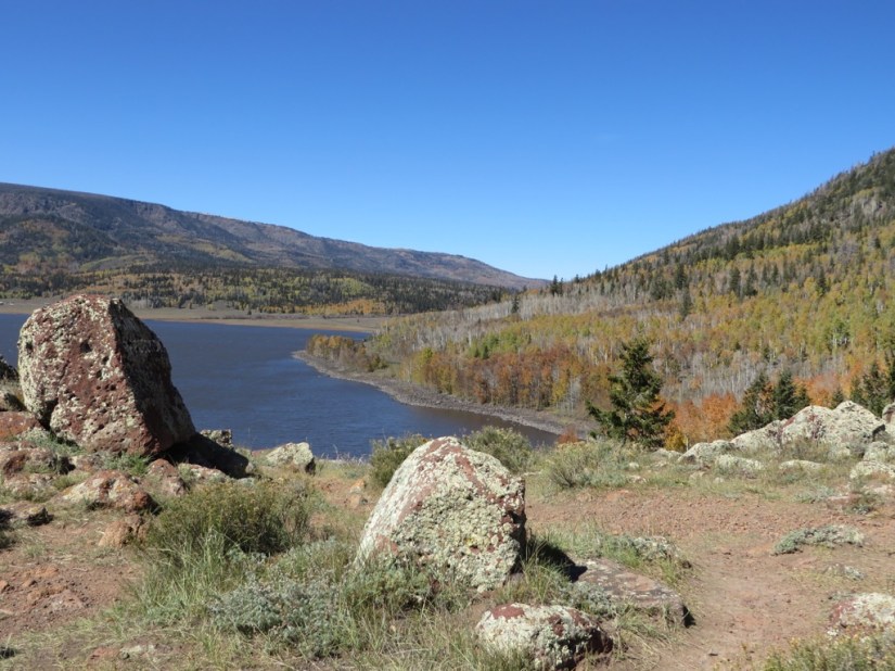 E8A55431-AA89-49AF-8B1C-28F567D1A0C7