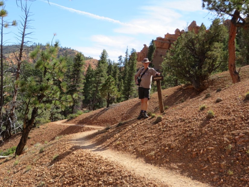 ED94E048-54E6-41F7-B6B1-EA88661511EA