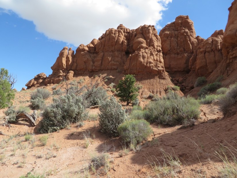 F40B151E-EEE0-41C8-ACDC-C4FF14515D24