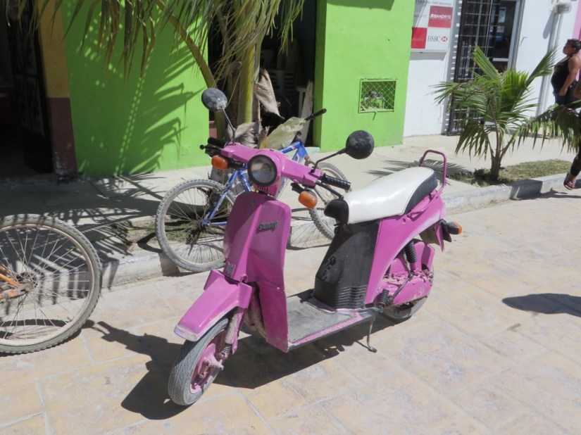 03EEA2B3-93AF-4E10-9C68-00A30AB1CED1