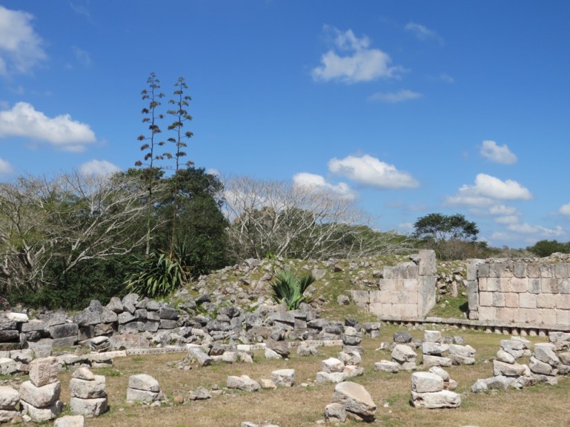 0F5C1CDD-7321-40A1-B80E-256FAFF90059