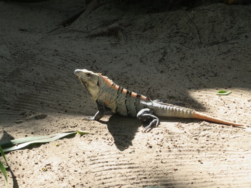 124E5BDC-BC3F-4169-9ECE-8586C876554E