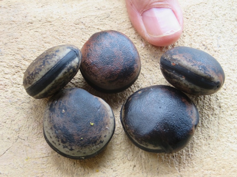 1BB4735B-4765-4285-94D8-2EAC02288267