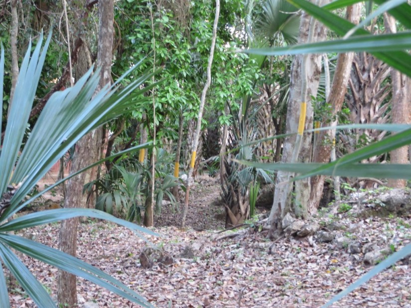 1C1AA2A4-B5E4-45A0-B299-498256495A22