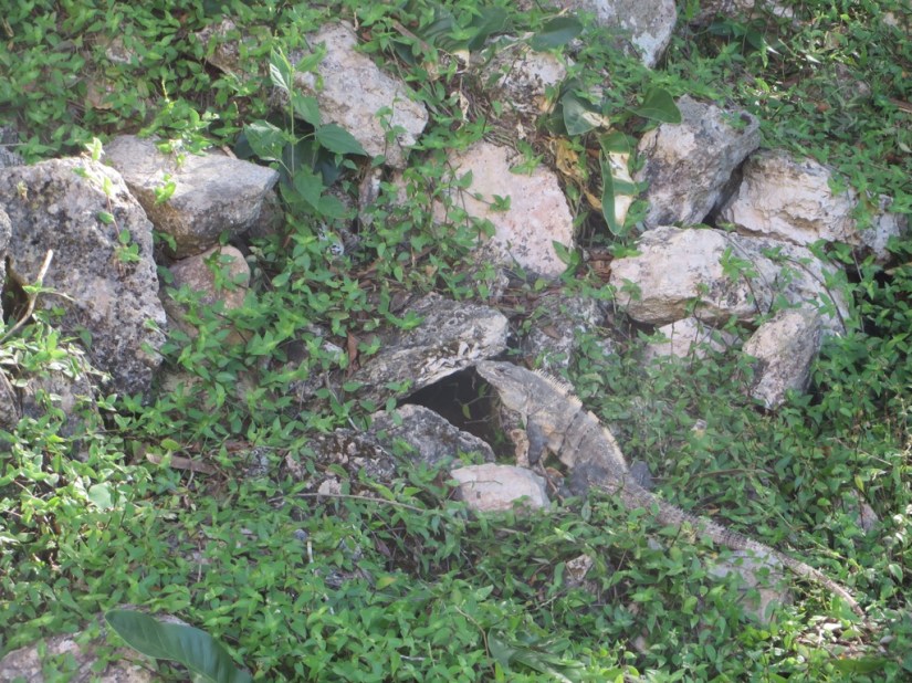 1E82CA52-8F20-427E-B02F-84E35B844279