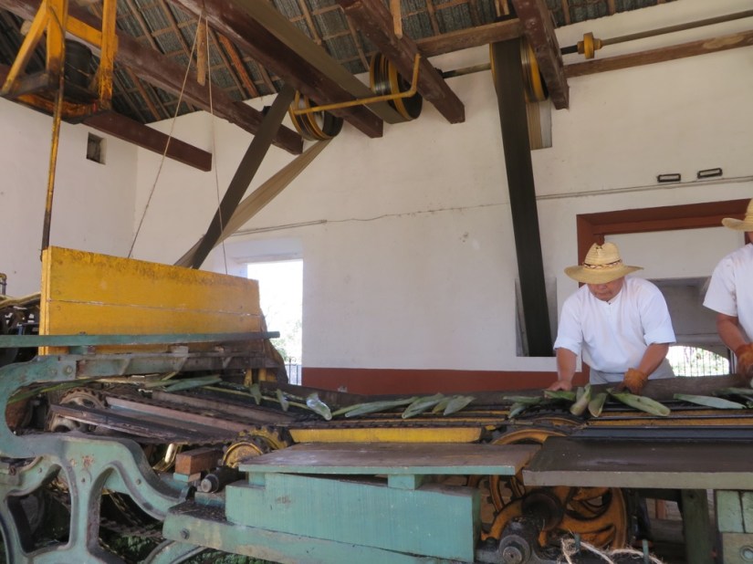 34ABA653-46B7-414A-B3E5-FD808419D39A