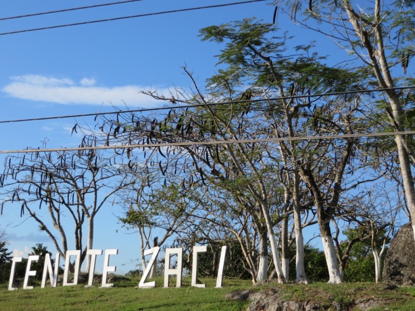 39205F5E-20AB-4929-B05F-DB58EFCAE349