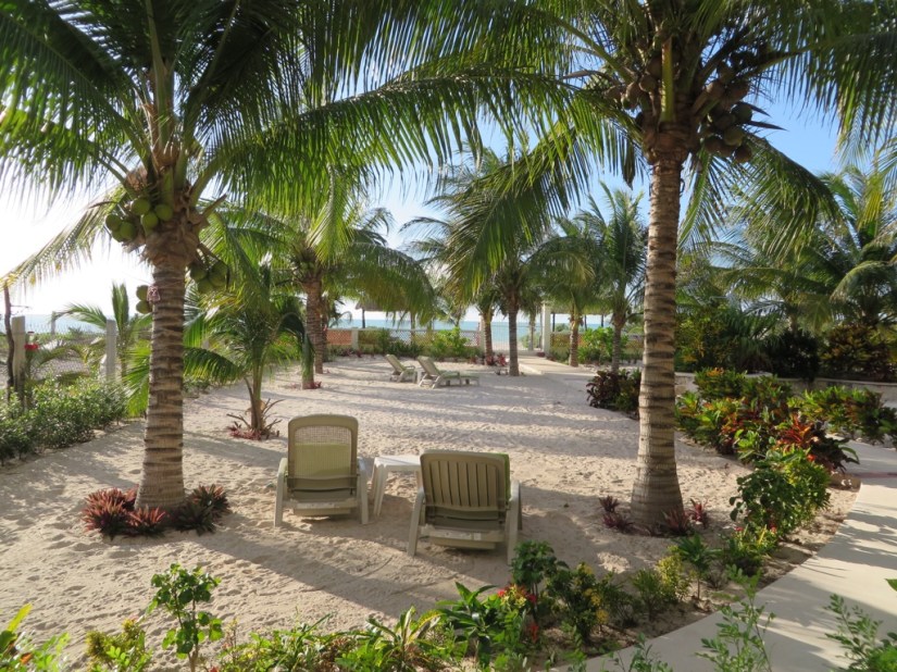 43400708-4412-4545-B148-11ECDF50F593